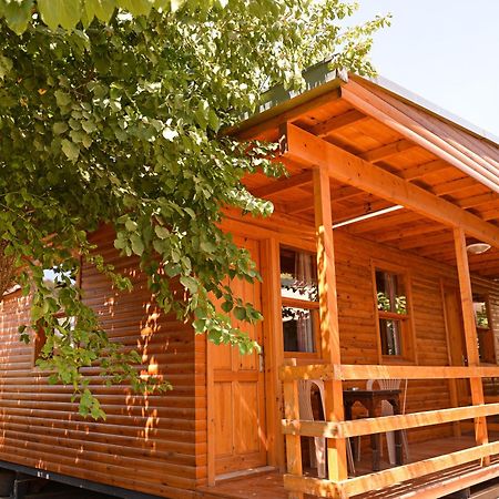 אולודניץ Tolay Hotel מראה חיצוני תמונה